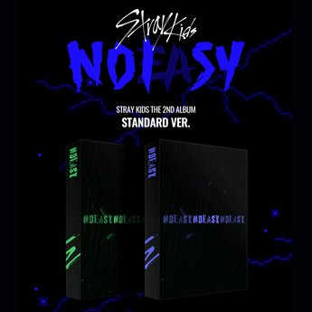 STRAY KIDS Noeasy Album